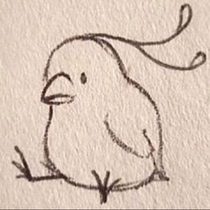 Meet your Posher, Phoebe